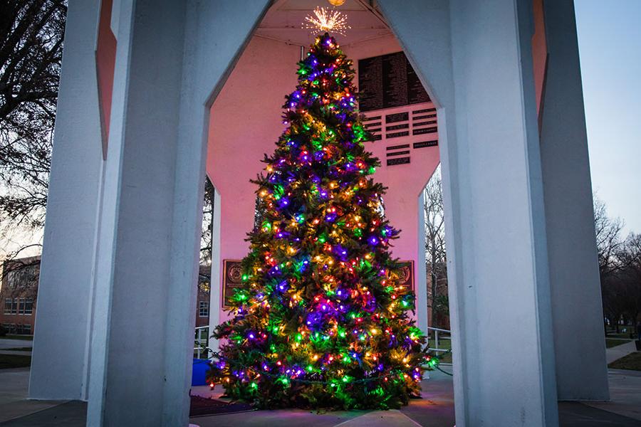 Holiday tree spreading cheer to campus; donations sought for food pantry